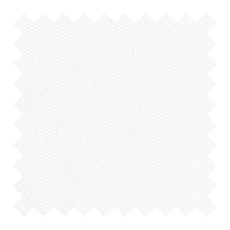 A/081