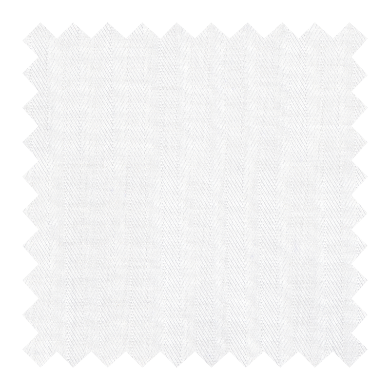 GN/2513 PALMA BLANCA