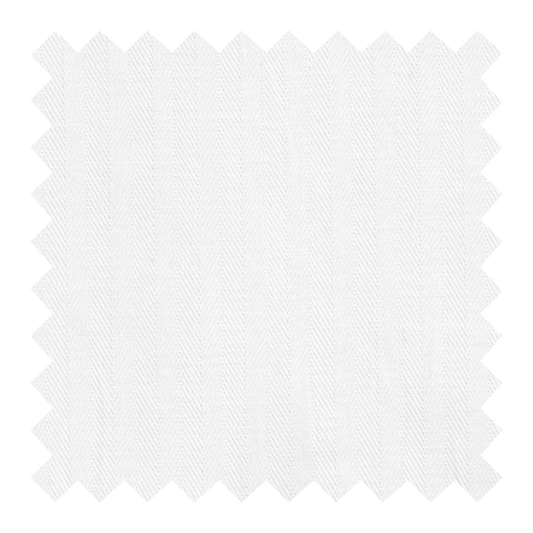 GN/2513 PALMA BLANCA